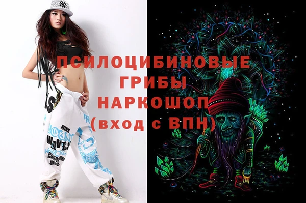 метамфетамин Инта