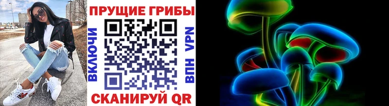 Купить закладки  Воркута  Псилоцибиновые грибы прущие грибы 
